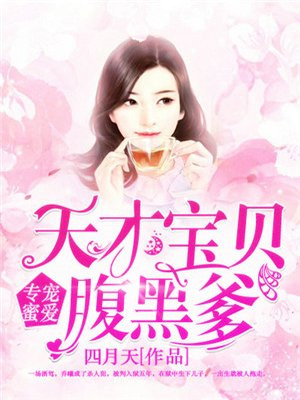 天才宝贝腹黑妈咪 小说