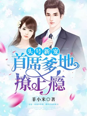 头号新宠小说