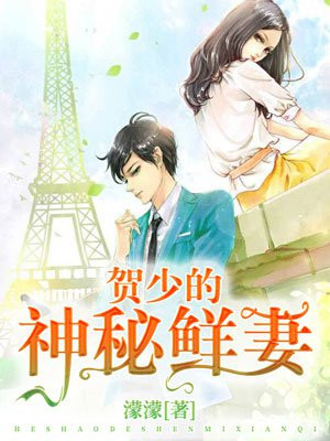 贺少的闪婚宠妻小说