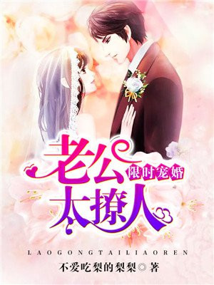 限时宠婚 小说