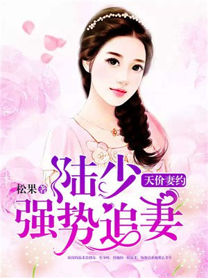 天价妻约:陆少强势追妻