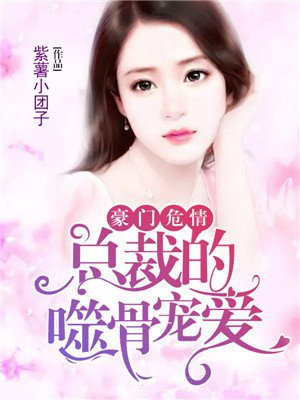 豪门危情总裁的小甜妻 小说