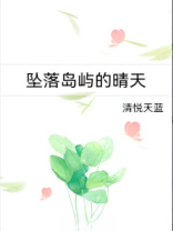 坠落岛屿的晴天txt