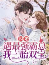 闪婚霸道宠妻