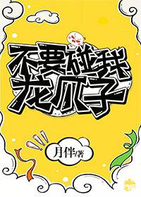 别碰我的龙爪子