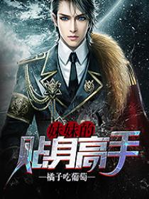 妹妹的贴身高手短剧免费观看