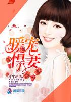 暖妻甜入骨小说全文免费阅读