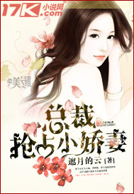 总裁抢占小娇妻小说