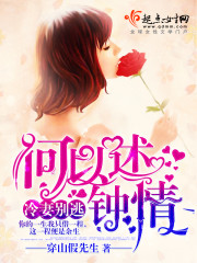 何以述钟情小说主要内容