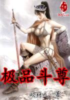 极品斗战属性