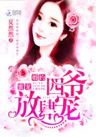 蜜宠婚约:四爷,放肆宠