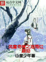 风雪情缘小说