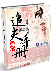 宠妃的追夫手册txt