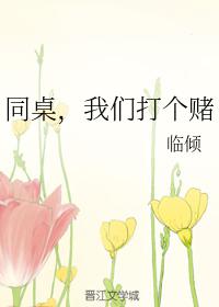同桌我们打个赌免费阅读全文