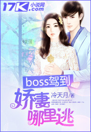 boss来袭,娇妻请留步