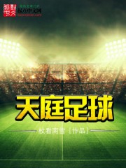 天庭logo