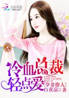 暖婚100分:总裁,轻点宠免费
