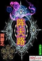 网游之天路 小说