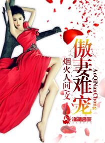傲妻难宠烟火人间txt