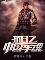 抗日军魂1937 小说