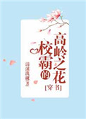 校霸的高岭之花[穿书] 小说