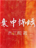 囊中锦绣车在哪章
