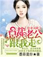 天降老公,霸气总裁宠妻成瘾