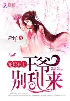 宠妃入骨王爷别乱来