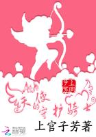天使的守护者