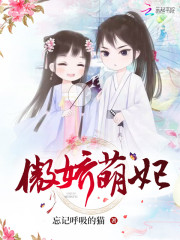 傲娇小萌妃 小说
