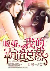 暖婚,我的霸道总裁 小说