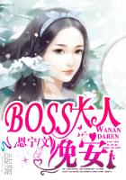 boss大人你欠揍小说