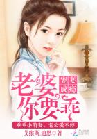 宠妻成瘾:老婆,你要乖下载