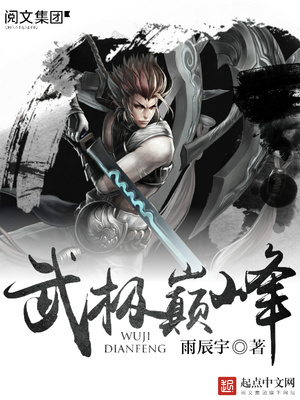 武极巅峰小说