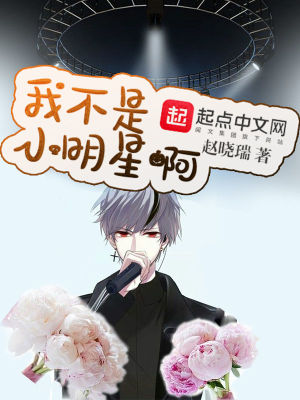 我不是小明星小说
