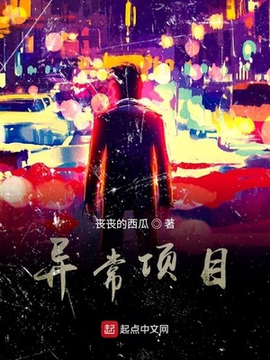 异常项目图鉴目录