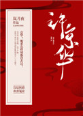 京华郡主烟花微微笑 结局