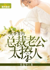 天价宠妻总裁先生超给力 小说