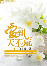 爱到天荒地老歌词