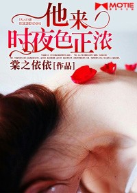 他来时夜色正浓 林清音 暗夜