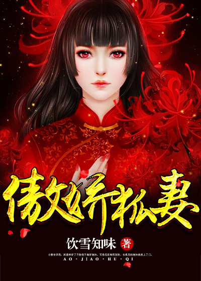 傲娇狐妻小说