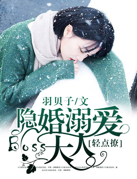 隐婚大人,又又又宠我了
