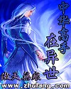 中华高手在异世2