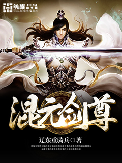 混元剑尊 小说