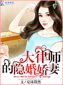 大律师的隐婚宝贝