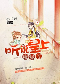 听说皇上带回来一个女子