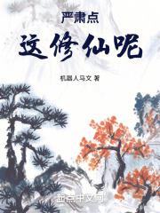 严肃点,这修仙呢txt