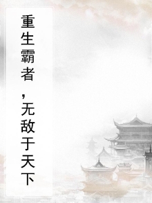 霸者无敌 小说
