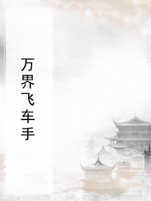 小偷飞车手