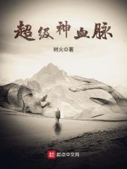 超级神血脉 小说
